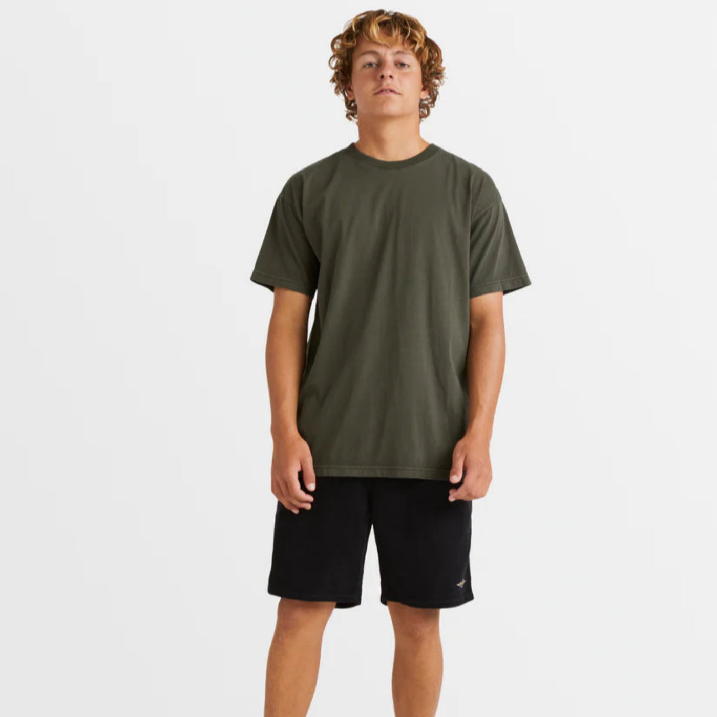 Billabong Premium Wave Wash Tee - Seaweed