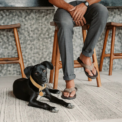 Reef Men's Cushion Phantom 2.0 Thongs - Brown/Tan